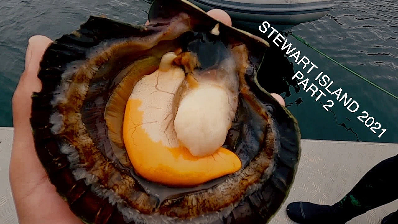 Adventure Vlog Stewart Island Circumnavigation Expedition New Zealand Part 2 Josh James And Friends