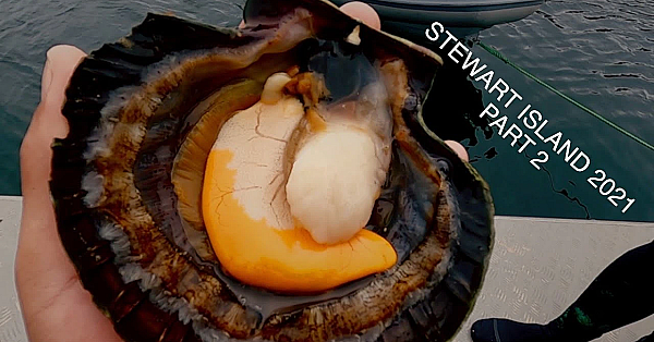 Adventure Vlog Stewart Island Circumnavigation Expedition New Zealand Part 2 Josh James And Friends