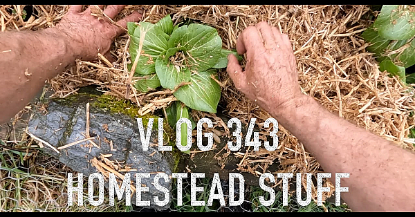 New Zealand Adventure Vlog 343 Whitebait Season Opening And A Health And Wellness Yarn In The Garden