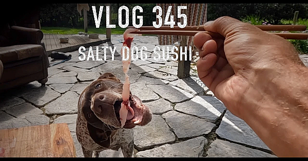 Josh James New Zealand Adventure Vlog #345 Salty Dog Sushi And The Rescued Rifle Chamois Hunt Fish