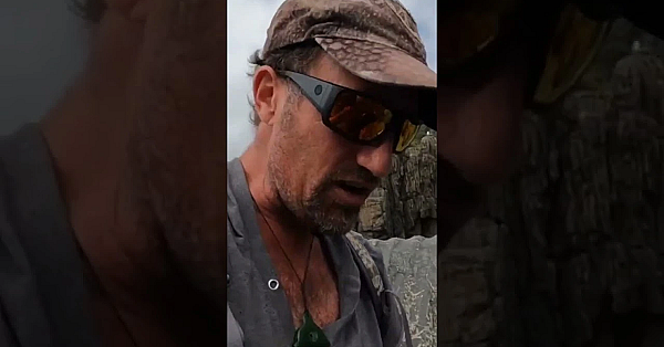 Limpet And Crab Catch And Cook #fatherson #shorts #joshjames #kiwibushman #sonnyjimjames