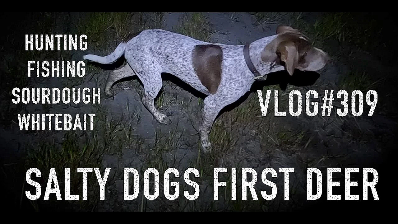 Nz Adventure Vlog #308 Whitebait 4wd Camping Hunting Fishing Sonny Jim Missions Snow Overland Roady