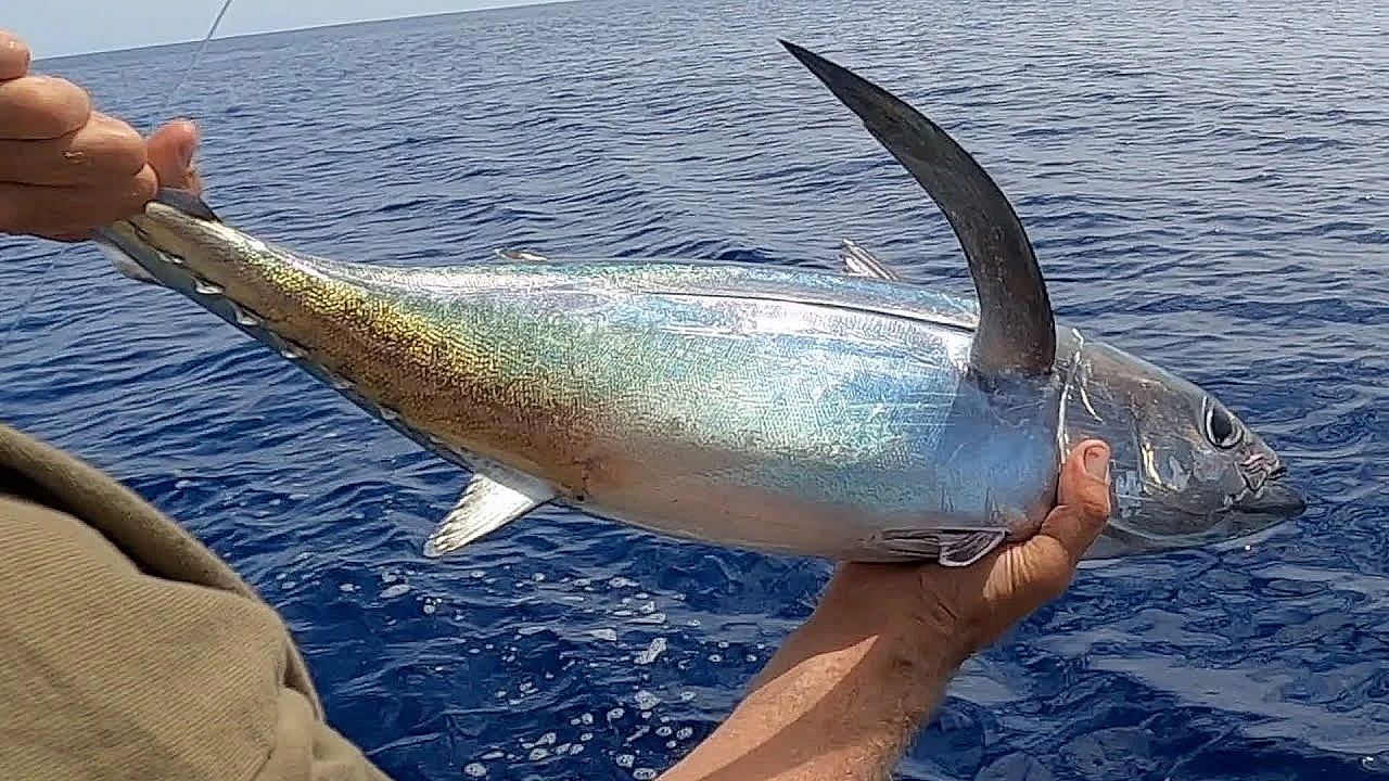 New Zealand Adventure Vlog 203 - Wild Tuna, Gold Fossicking, Cooking On The Campfire With Josh James