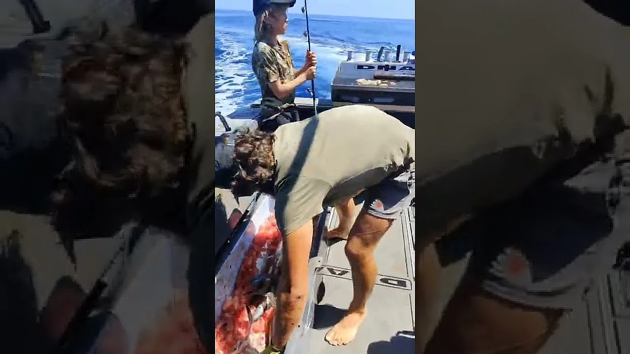 Harvesting Tuna