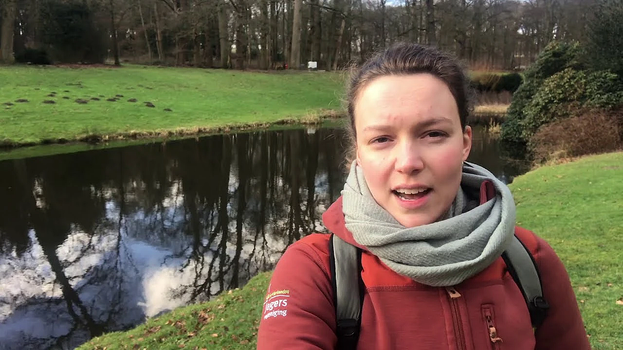 Eendenkorven Plaatsen Bij Landgoed Amerongen