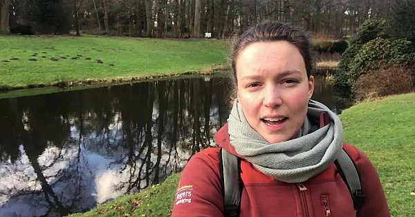 Eendenkorven Plaatsen Bij Landgoed Amerongen