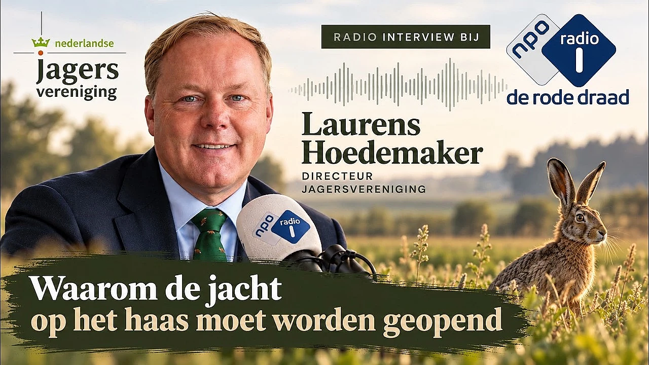 Hazenjacht dicht? Wat betekent dar voor de haas? | Interview Laurens Hoedemaker