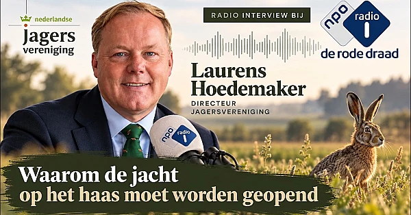 Hazenjacht dicht? Wat betekent dar voor de haas? | Interview Laurens Hoedemaker