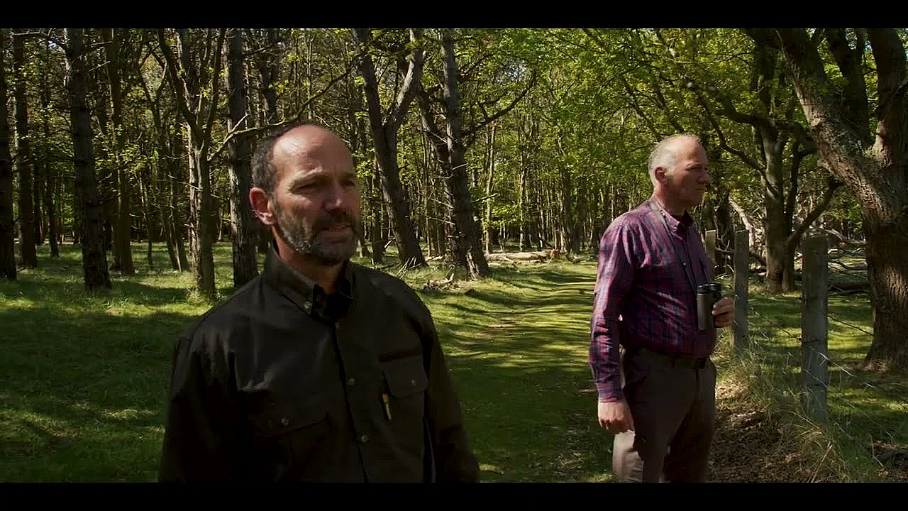 Draagkracht Van Het Veld Leidend Bij Creëren Gezond Ecosysteem