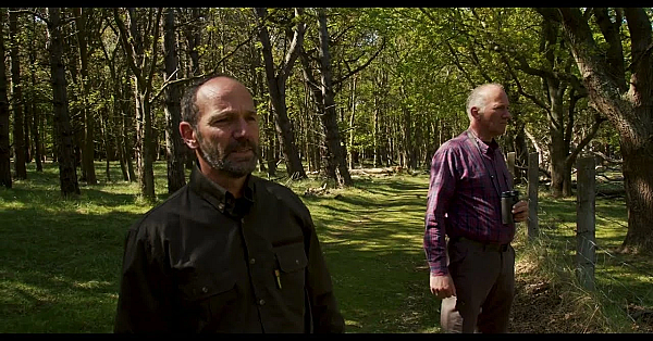Draagkracht Van Het Veld Leidend Bij Creëren Gezond Ecosysteem