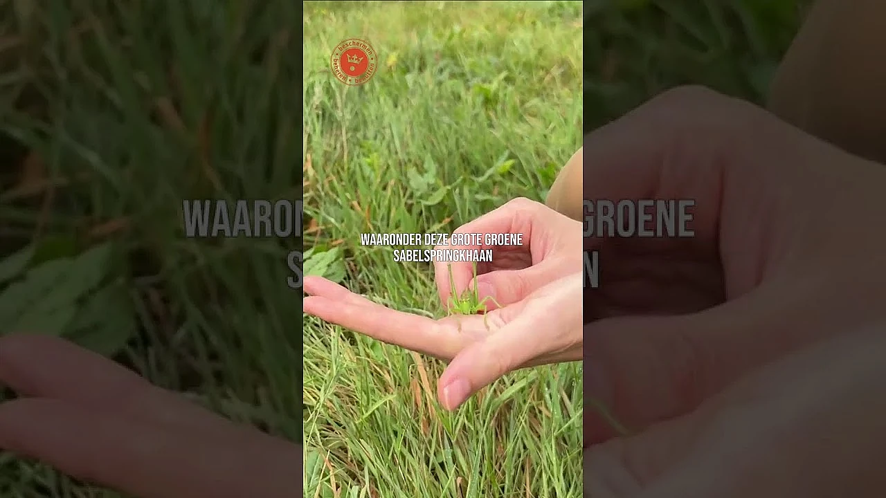 Fauna voedselranden