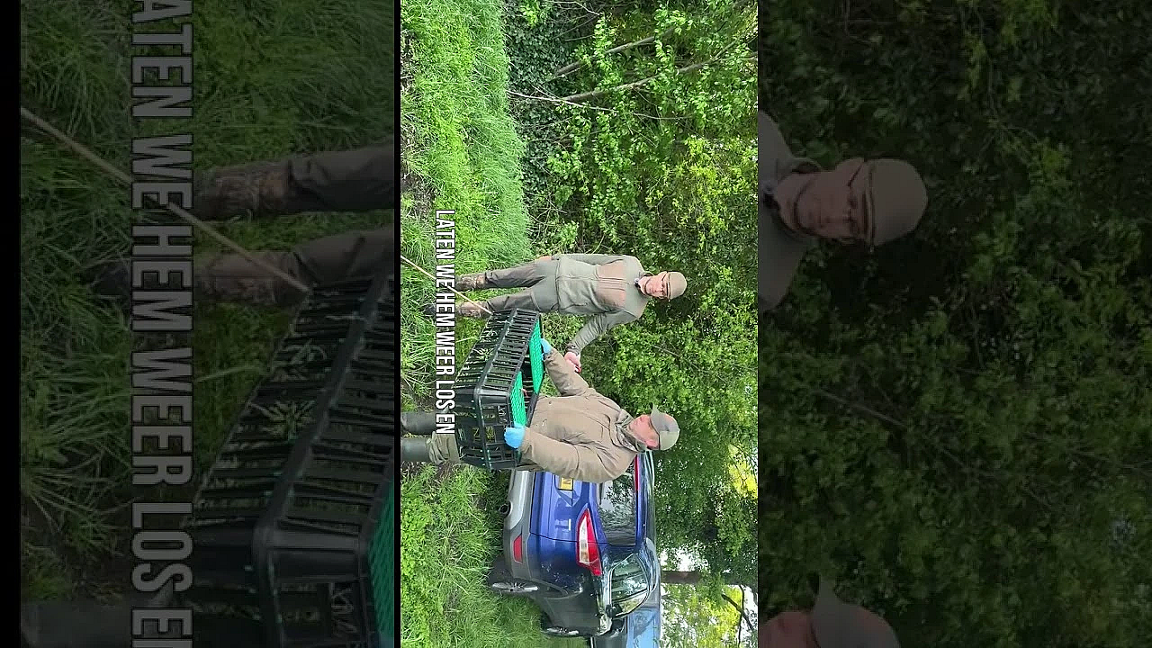 Reekalf redden