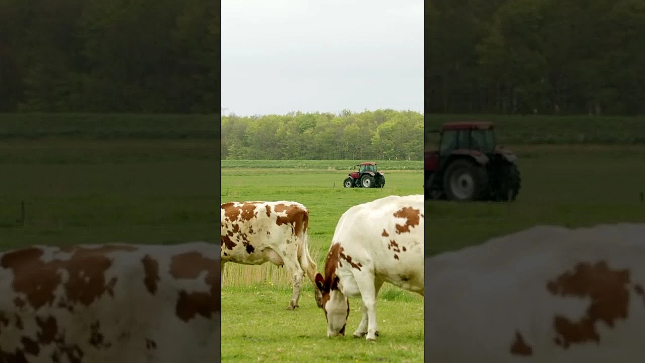 Een dichtbevolkt land