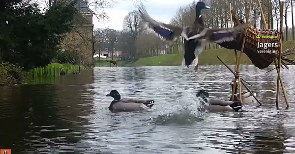 Broedkorven Activiteit -  April 2024