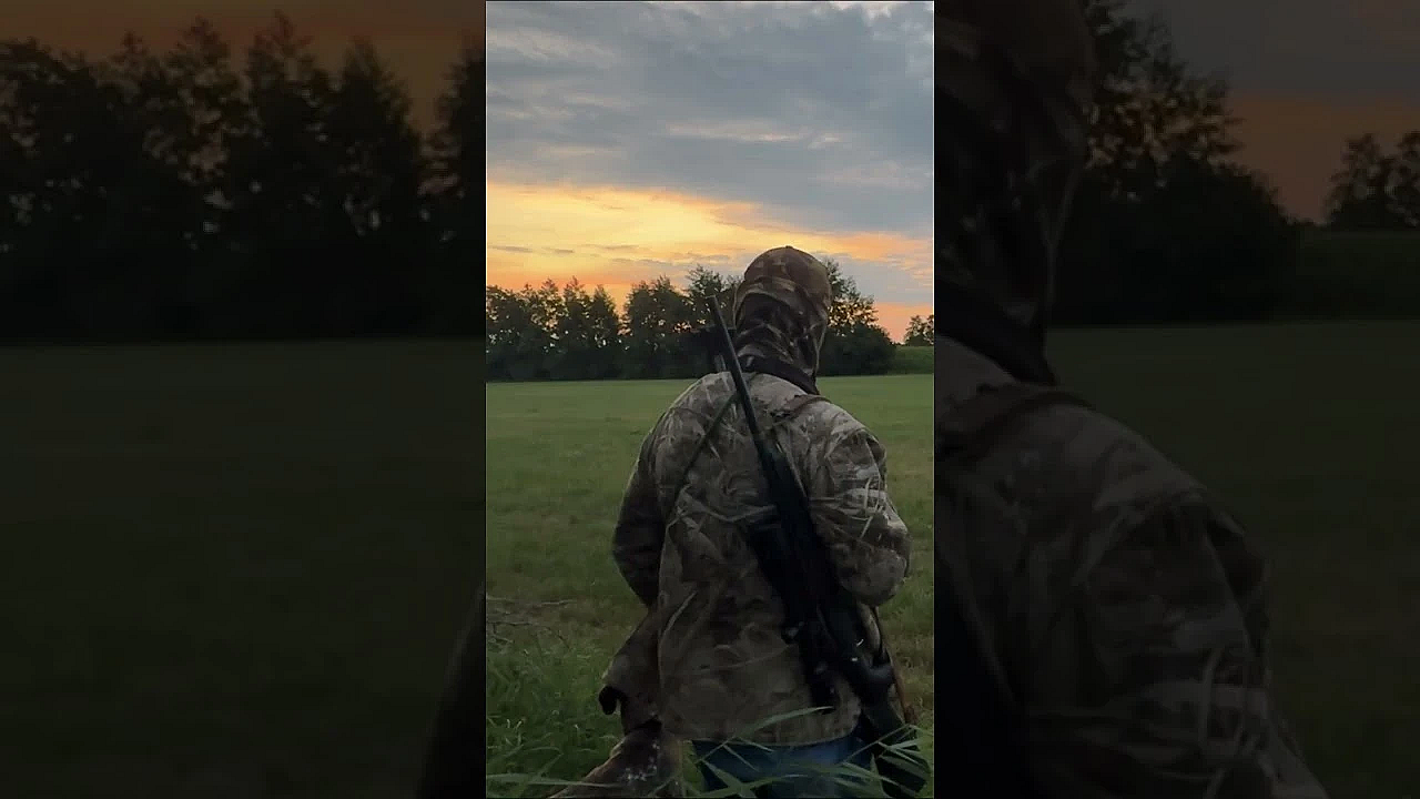 Fiepen met de zonsopgang