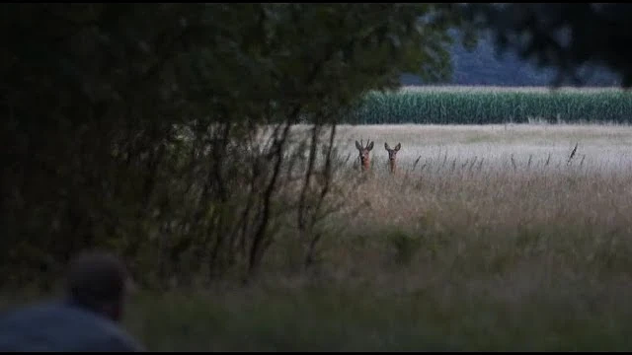 Door De Ogen Van De Jager - Juli 2017
