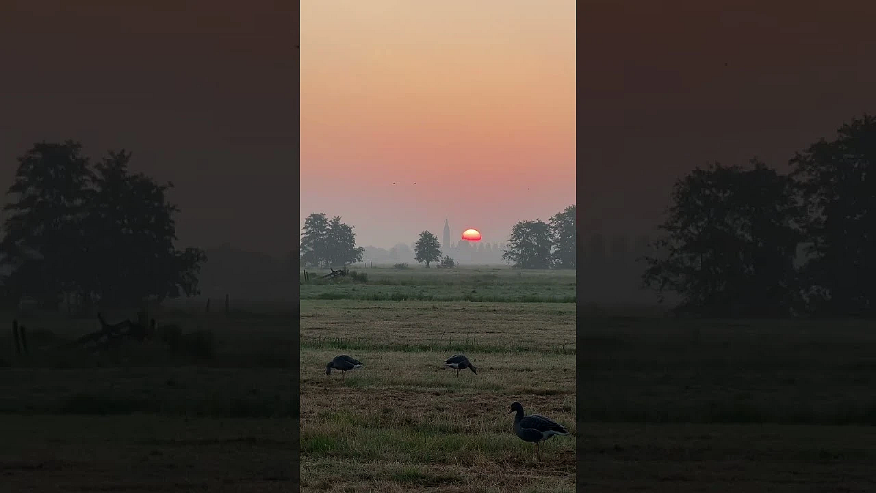 Zonsopgang in het veld!