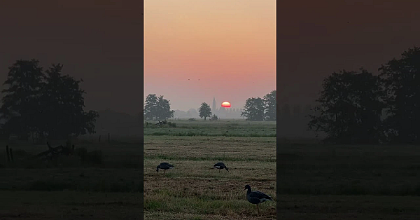 Zonsopgang in het veld!