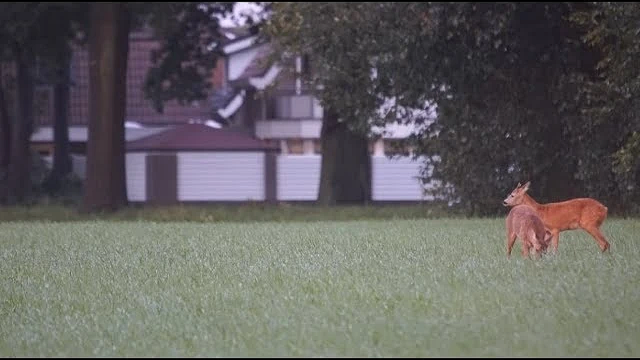 Door De Ogen Van De Jager   September 2017