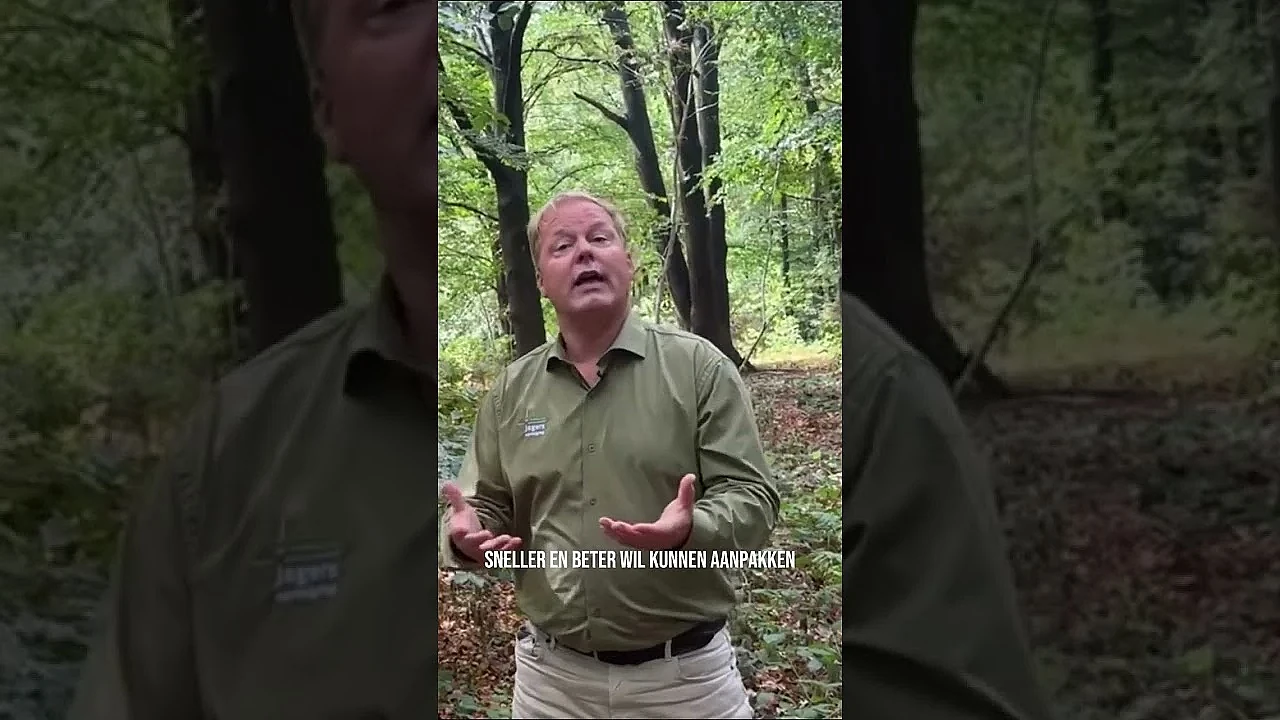 Wolf in Nederland