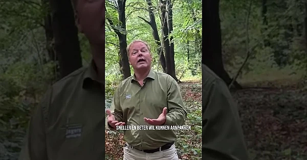 Wolf in Nederland