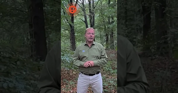 De wolf actief beheren