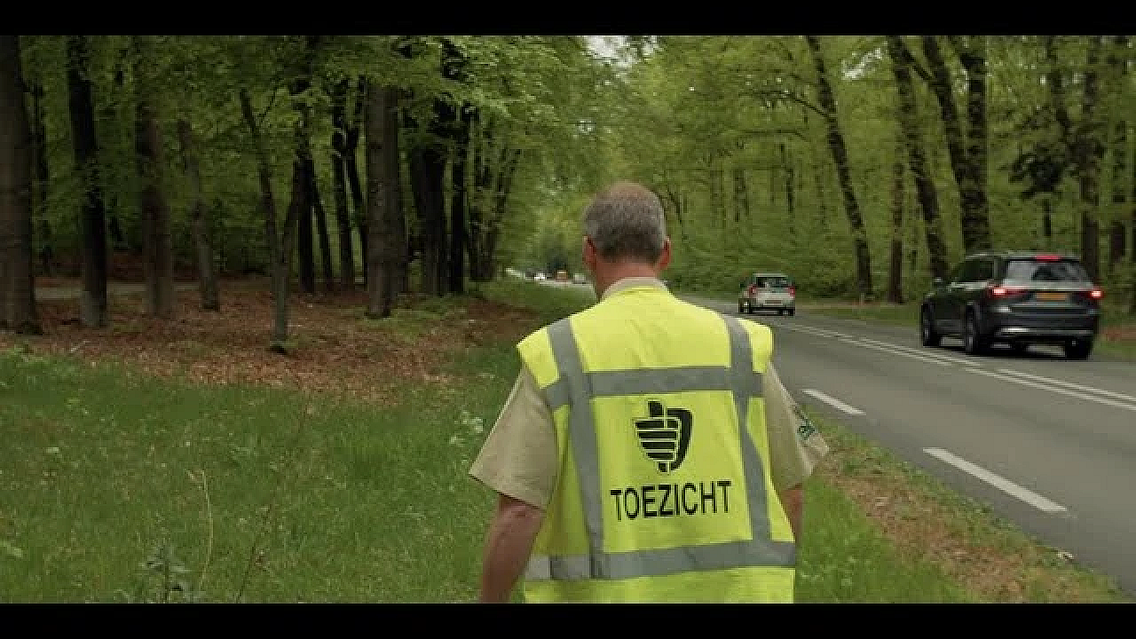 Dilemma's In De Nederlandse Natuur: Hoe Meer Dieren, Hoe Meer Aanrijdingen