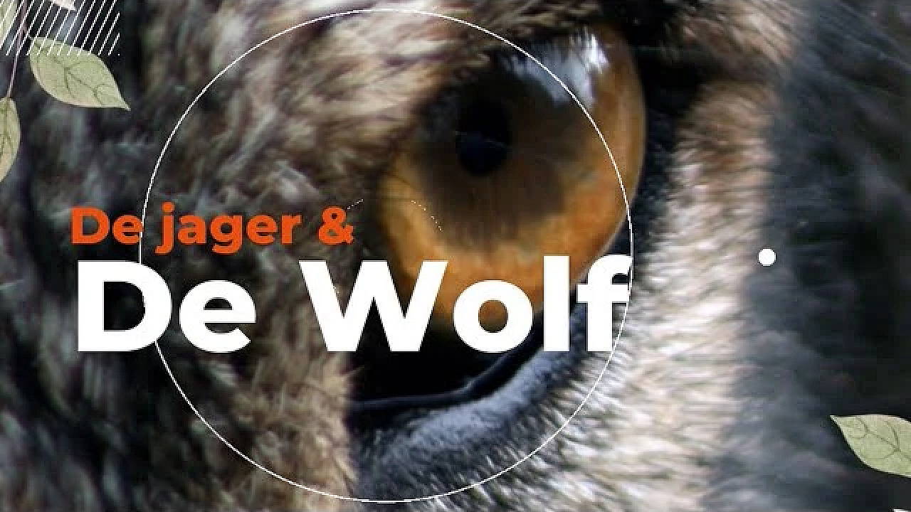 De Jager &amp; De Wolf In Nederland!