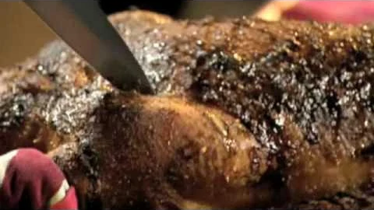 Kerstdiner deel 2: gemarineerde kerstgans van Gordon Ramsay