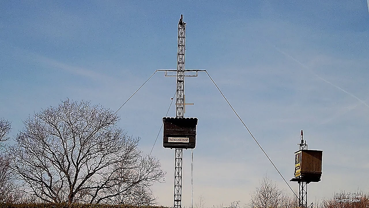 De Inkomende Kleiduif Op Schot - Ongeschouderd