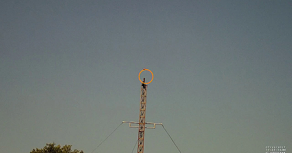 5 basis kleiduiven geschoten met de ShotKam