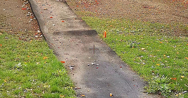 De Rabbit Maar Dan Net Even Anders - 1