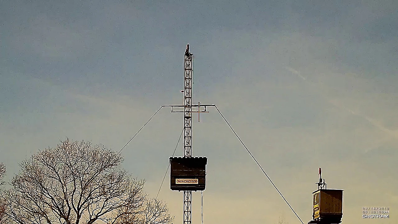 De Inkomende Kleiduif Op Schot - Geschouderd