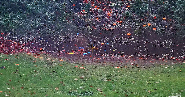 Post 7   2   B Simultaan M