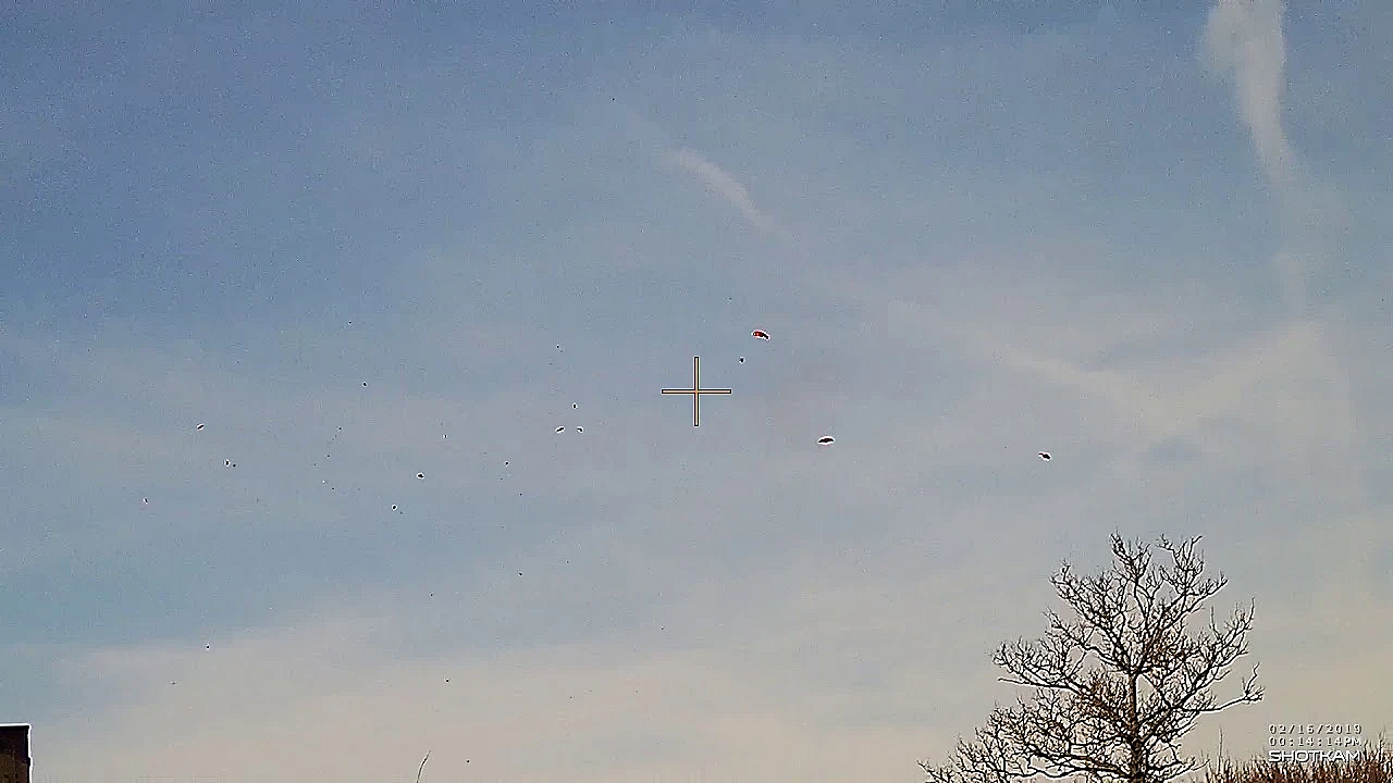 De Afgaande Kleiduif Op Schot - Geschouderd