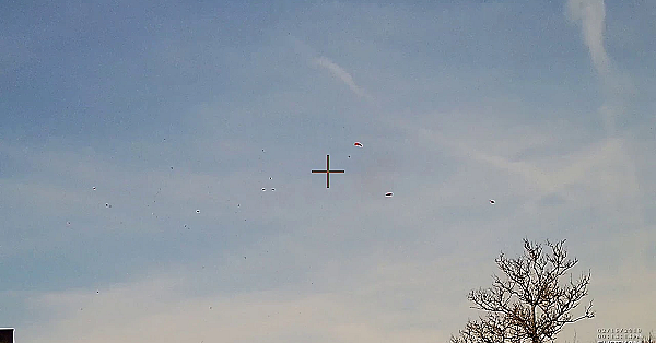 De Afgaande Kleiduif Op Schot - Geschouderd