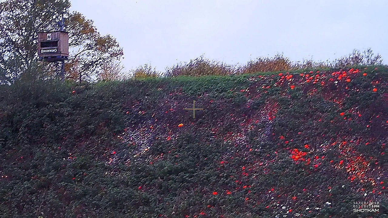 Post 3   2   E Op Schot D