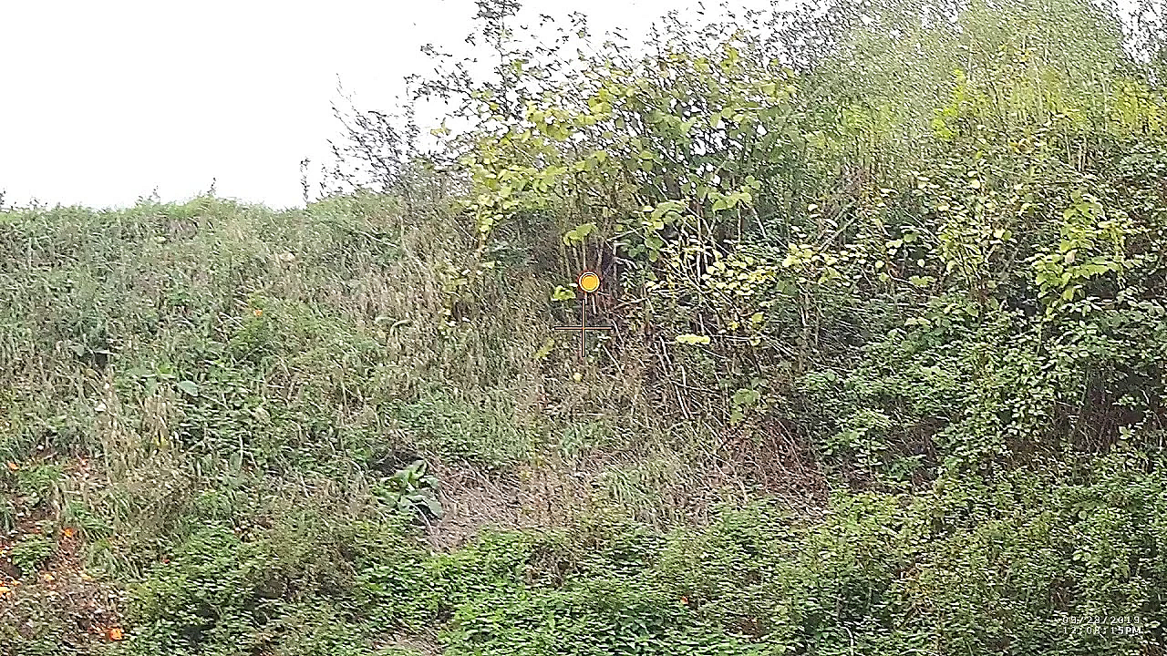 De Rabbit Maar Dan Net Even Anders - 2