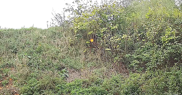 De Rabbit Maar Dan Net Even Anders - 2