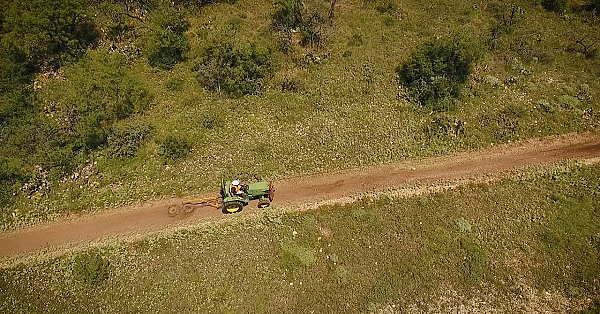 Pbs Show - San Angelo Trail-maker, Moore Ranch Heritage &amp; Saving Swifts - #3011