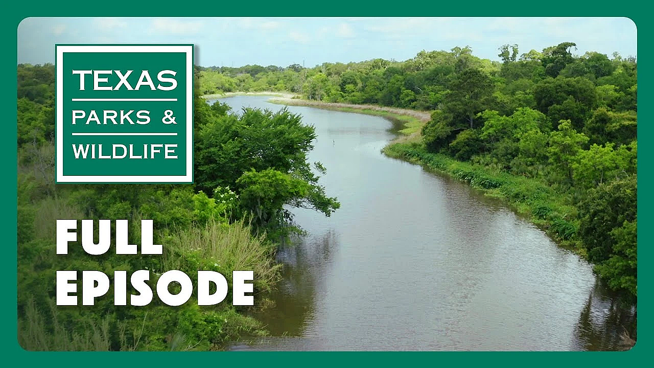 Pbs Show - Bayou City, Shotgun Skills &amp; Goose Island Wildlife