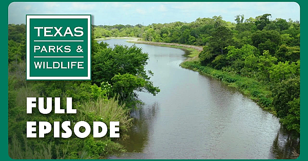 Pbs Show - Bayou City, Shotgun Skills &amp; Goose Island Wildlife