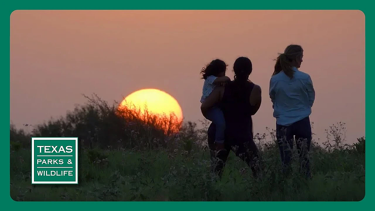 Pbs Preview- Outdoor Friends, Goose Island &amp; Aquatic Habitat Helper