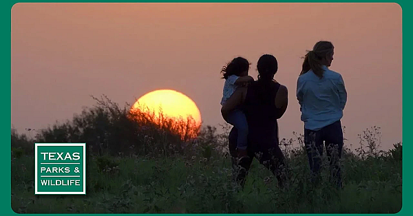 Pbs Preview- Outdoor Friends, Goose Island &amp; Aquatic Habitat Helper