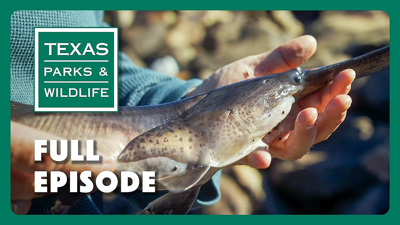 Pbs Show - Texas Water, Archery In School &amp; Free Fishing