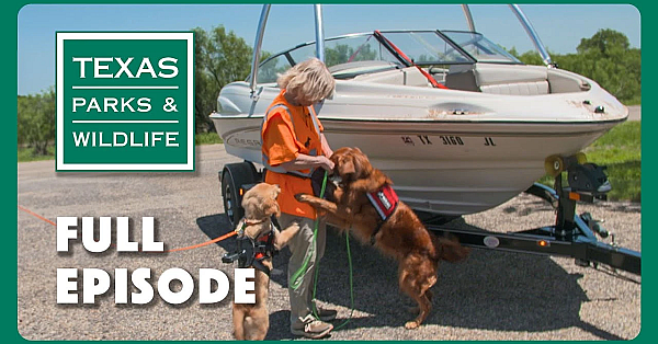 Pbs Show - Conservation Dog Squad &amp; More