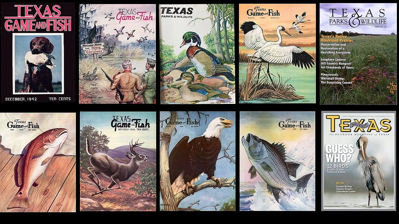 Pbs Show - Outdoor Magazine Of Texas, Lake Tawakoni, Fishing Tips  - #3017