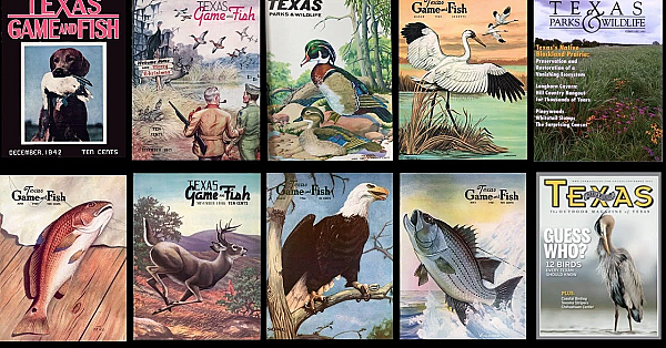 Pbs Show - Outdoor Magazine Of Texas, Lake Tawakoni, Fishing Tips  - #3017