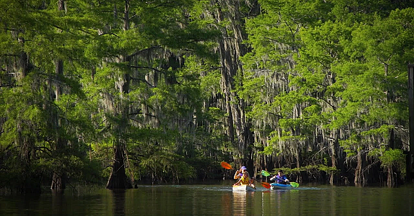Pbs Show - Caddo Camping, Killam Wildlife, Shrimping Family, #2802