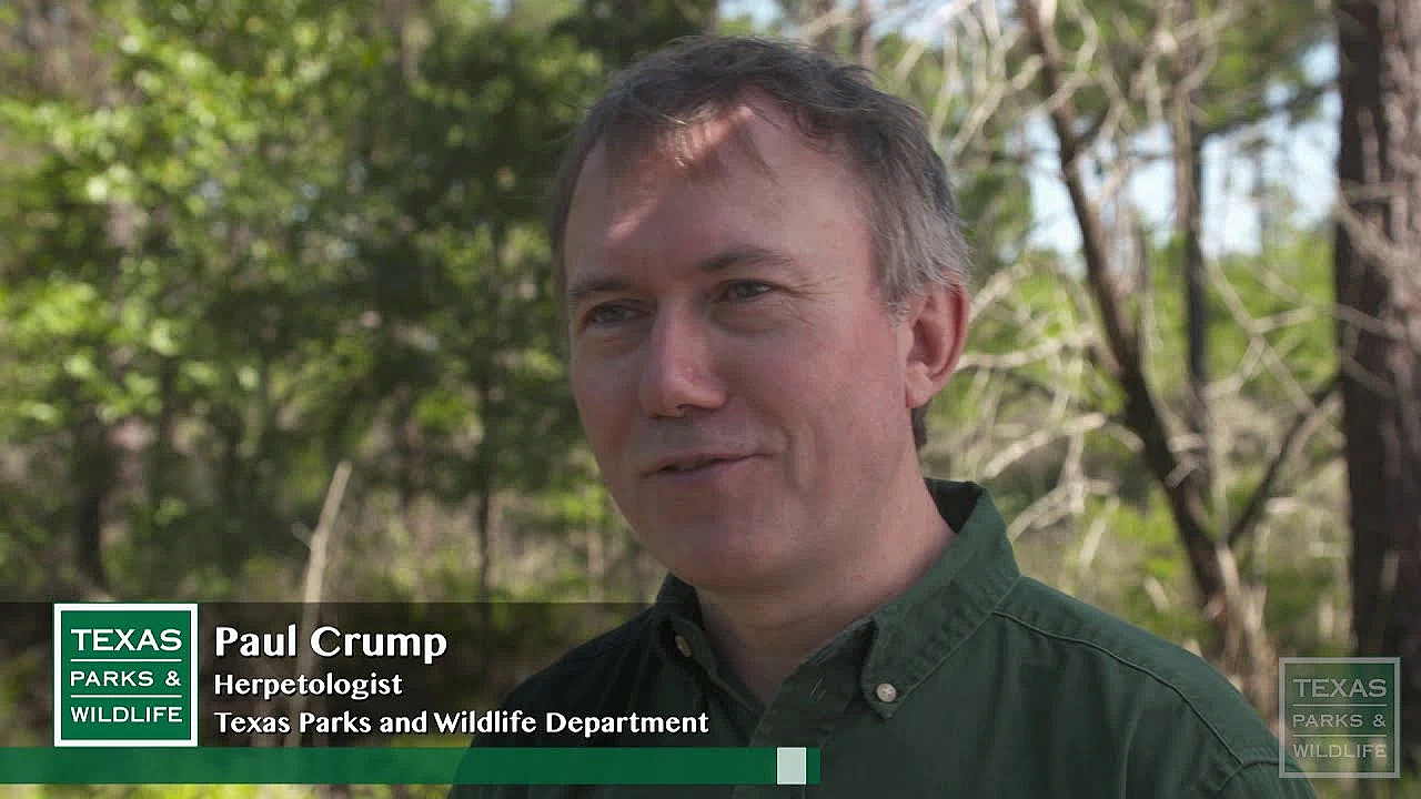 Friend Of The Toads: Paul Crump